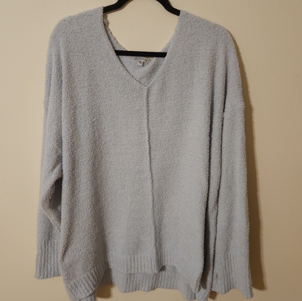 White Birch Soft V-Neck Sweater in Light Blue